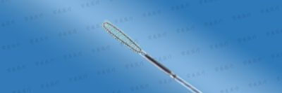 一次性使用內(nèi)窺鏡用取樣刷（細胞刷）-U形刷頭